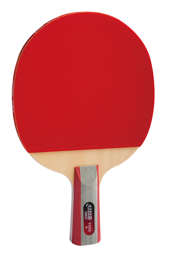 DHS table tennis bat pre-made penhold H1006 - DXES023-1